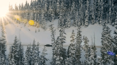 chevrolet–night-lights-rebecca-hynes