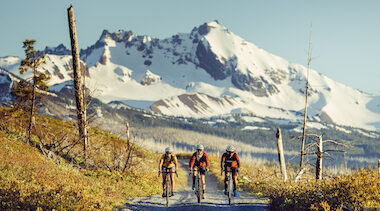 rebecca-hynes-mongoose-born-in-dirt